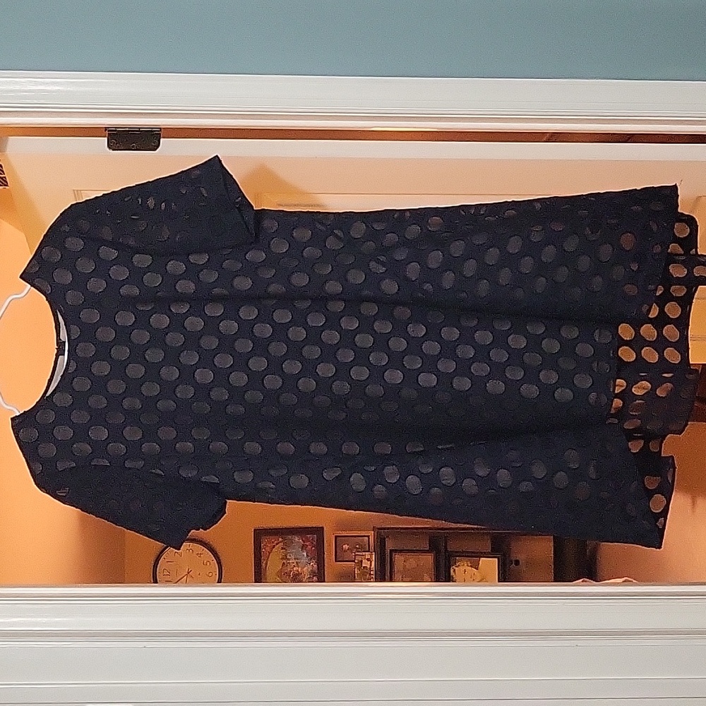 Donna Morgan Navy Blue swing dress with sheer polka dots and nude lining